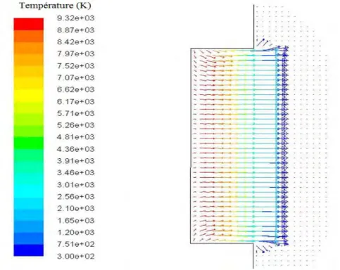 Figure II.2.1 Champs de vecteur vitesse coloriés par la température à t=500ns 
