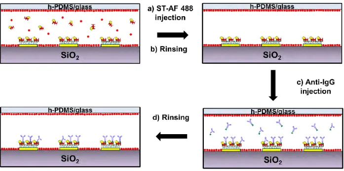 Figure 4.5 Schematic presentation of post-sealing functionalization in the nanofluidic device
