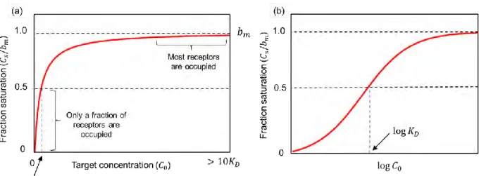 Figure  1.7  (a)  A  plot  of  fractional  saturation  as  a  function  of  target  concentration,  referred  as 