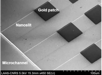 Figure 3.6  SEM image of the device having a series of parallel nanoslits linked to a microchannel