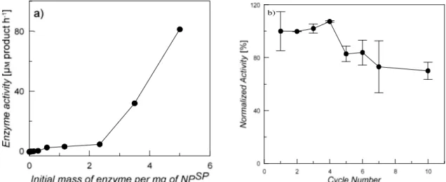 Figur e 6: a) Activity at 37°C of immobilized enzyme incubated with a range of initial enzyme  concentrations on 2.4 mg NP SP  in a 10 mL reaction flask tested using a 5mL and 4 mg/mL pectin 
