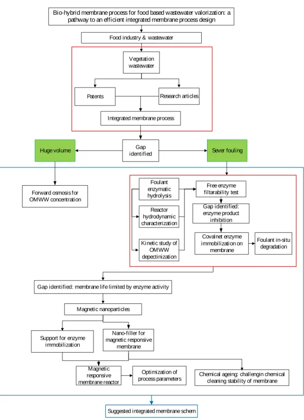 Figur e 1: Schematic illustration of the overall strategy of the PhD work carried out