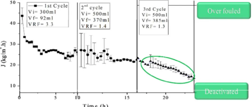 Figur e a: Flux performance of biocatalytic PE HF membrane over three different cycles