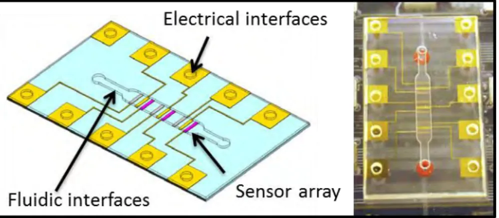 Figure 1.7. A polymer lab chip with an array of three amperometric sensors for heavy metal detection (Jang et al., 2011)