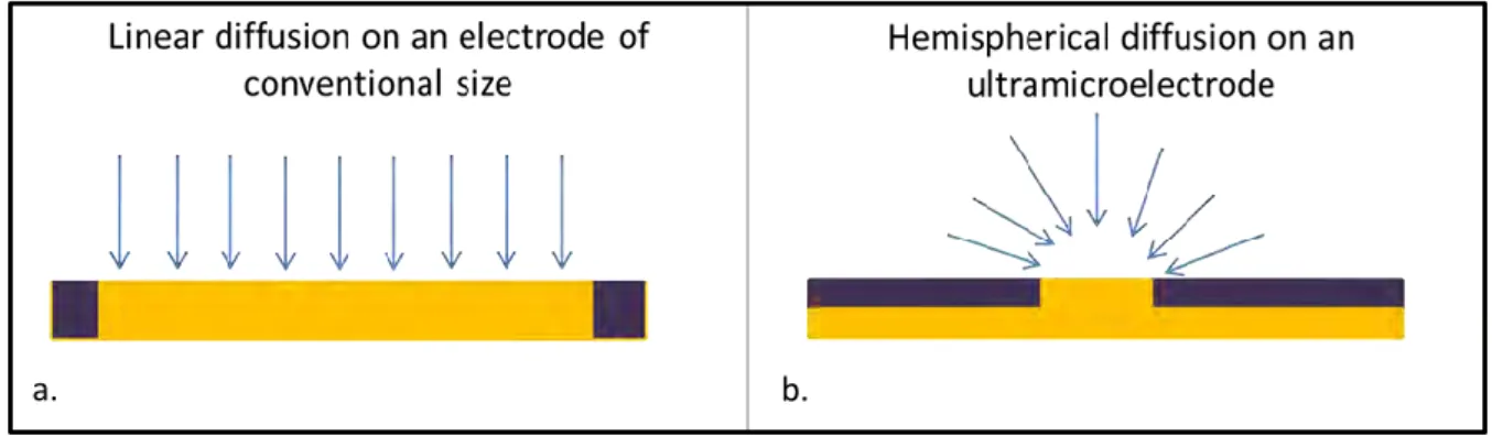 Figure 2.6. Diffusion profiles depending on electrode size: (a) linear diffusion on an electrode of conventional size