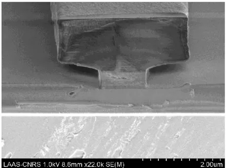 Figure 3.6. SEM image of the T-shaped bi-layer resist profile after Si 3 N 4  deposition