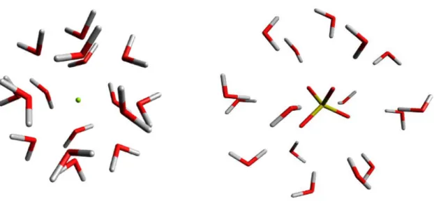 Figure III.1: Initial structure with 16 H 2 O for the Mg 2+  cation, on the left, and the SO 4 2-  anion  on the right 