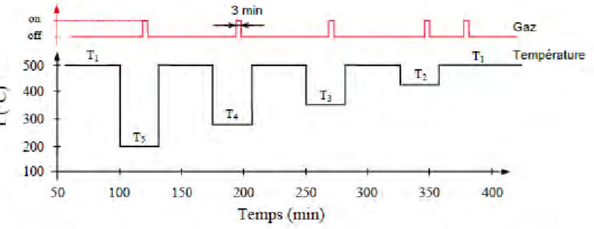 Figure 19. Exemple de profil de températures avec des variations lentes [68] 