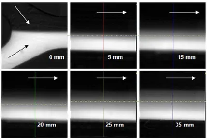 Figure 2.24  Images montrant la diusion le long d'une puce en T(v moy = 2.4mm/s ) [35]