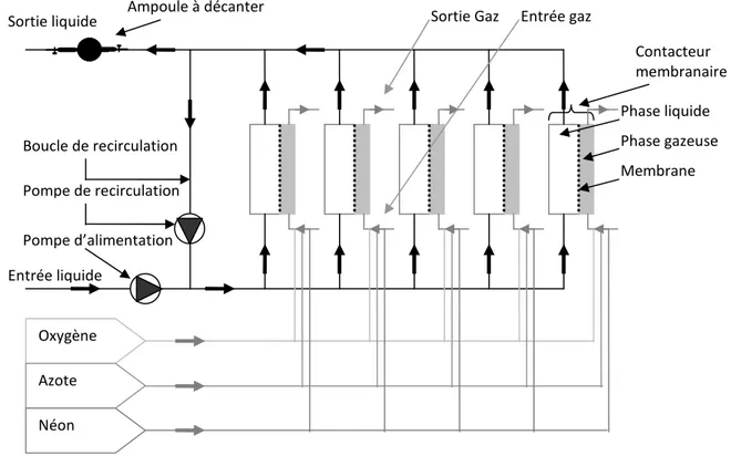 Figure II-1 : Schéma du circuit liquide (en noir) et gaz (en gris) du fonctionnement du pilote 