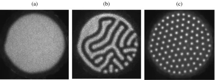 Figure  2-1  Structures  typiques  de  DBD  qui  s’apparentent  aux  structures  classiques  des  systèmes  de  réaction  diffusion : (a) Décharge homogène à 400 Torr 1 mm dans le néon U= 600 V, f = 20 kHz, t porte  = 25 µs, t acc  = 10 