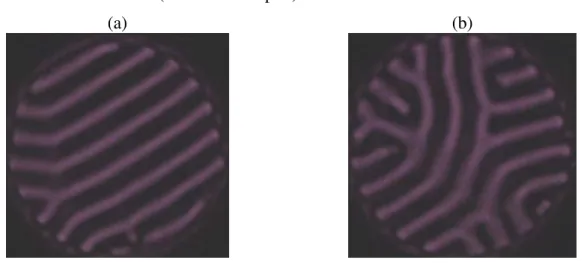 Figure 2-7 Bandes structurées en anneaux concentriques : décharge dans l’hélium à 100 Torr 1 mm
