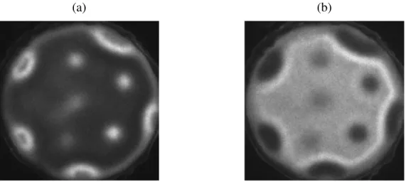 Figure  3-6  Structure  quinconce  en  1-D  dans  le  néon  visualisée  sur  une  période  (a)  et  sa  décomposition :(b)  pendant l’alternance positive et (c) pendant l’alternance négative avec une camera ICCD ( t porte  = 30 µs t accu  = 16 