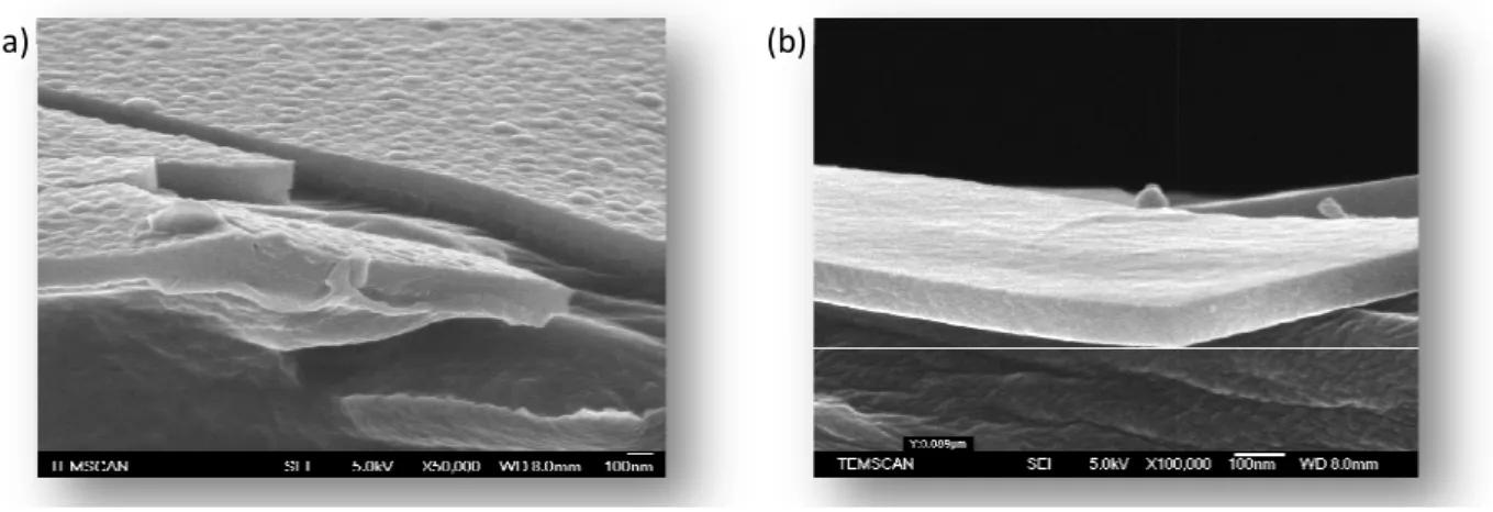 Figure III-10 : Images MEB de dépôts obtenus sur substrat PET