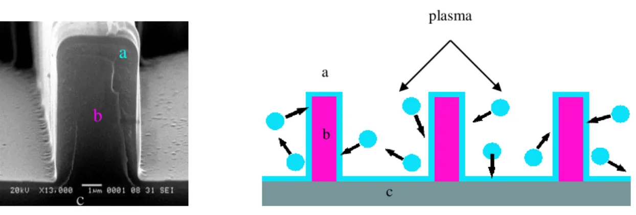 Figure I-9 : Le dépôt de la couche barrière sur les microcuves et le film substrat par plasma froid 