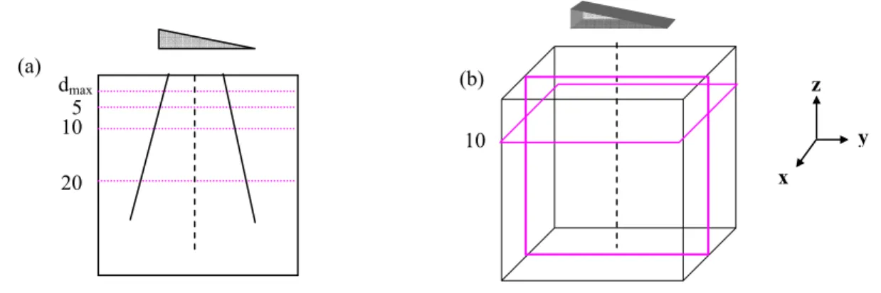 Figure 11 : OTN modificateurs de faisceaux  a) Distributions de dose 1D,  b) Distributions de dose 2D