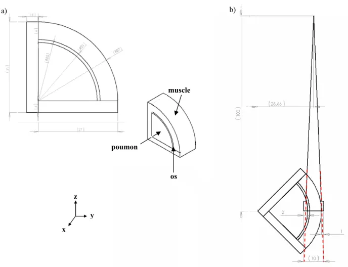 Figure 27 : Caractéristiques géométriques de l’OTN sein   a) OTN sein angulation nulle,  b) OTN sein angulation 45°