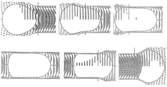 figure I.13 : Champs de vitesses et profils d’une capsule artificielle sphérique au cours de son passage à  travers un tube cylindrique (cas où le rapport du diamètre de la capsule à celui du capillaire est de 1,2)