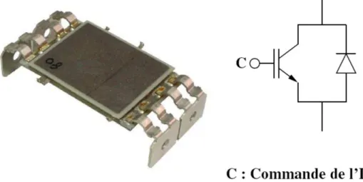 Fig. 2.5 – Prototype d’interrupteur élémentaire ou switch et schéma électrique associé.
