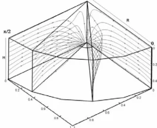 Fig 3.5 vista tridimensionale delle linee di corrente 