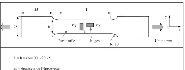 Figure B.I. 1. Géométrie des éprouvettes de traction utilisées pour caractériser le SMC-R