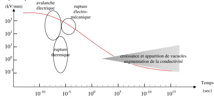 Fig. 2: Caractéristique champ électrique en fonction du temps  représentant les mécanismes de rupture diélectrique [Ref