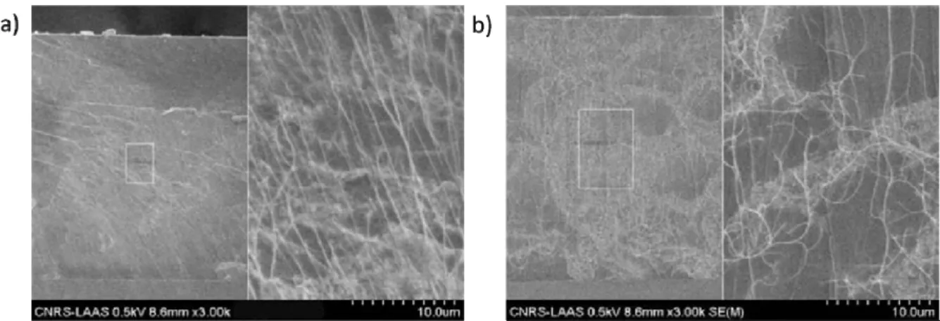 Figure II.15 : Images MEB d’une couche composite DNTCs/BCB sur substrat silicium (HR), a) 0,05%.m,  b) 0,37%.m 