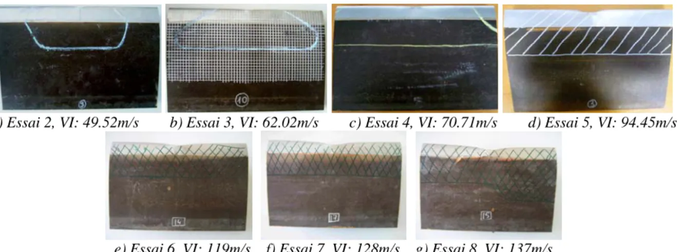 Figure III.36  : Surface de décollement de la pale de référence en fonction de l’énergie d’impact 