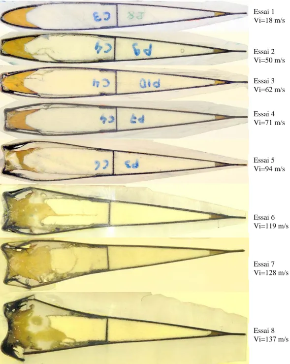 Figure III.37  : Vue globale des coupes de 8 pales au plan d’impact 