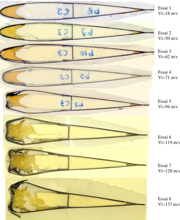 Figure III.40  : vue globale des coupes de 8 pales à 10mm du plan d’impact 