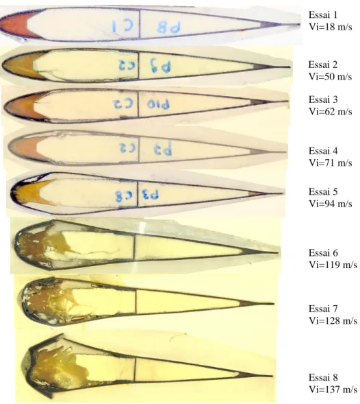 Figure III.42  : vue globale des coupes de 8 pales à 20mm du plan d’impact 