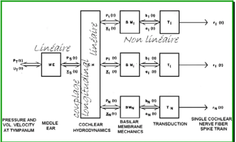 Figure 12 : Résumé visuel de la fonction auditive [2] 