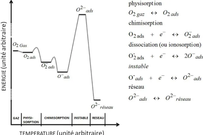 Figure 12 Schéma énergétique et équations chimiques des différentes espèces d'Oxygène adsorbée à la surface du SnO 2 