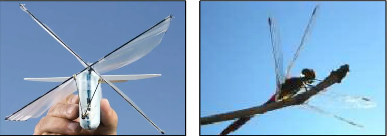 Figure 1.11: An insect-like micro air vehicle developed in Brigham Young University, Utah, U.S.A