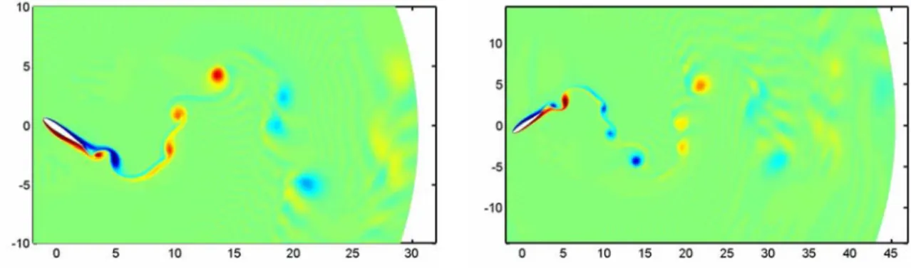 Figure 4.6: Propagation of the shed vorticity in the wake towards the limit of the computational