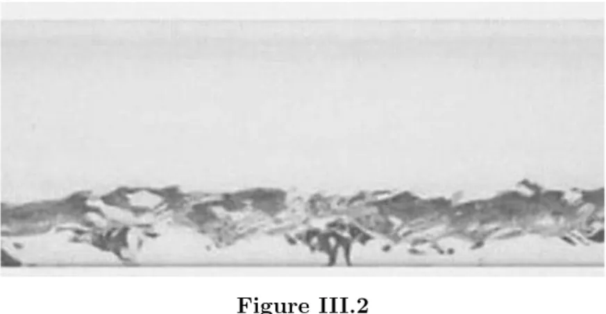 Figure III.2