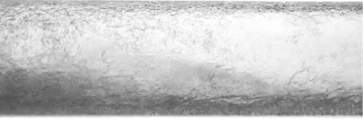 Figure III.6