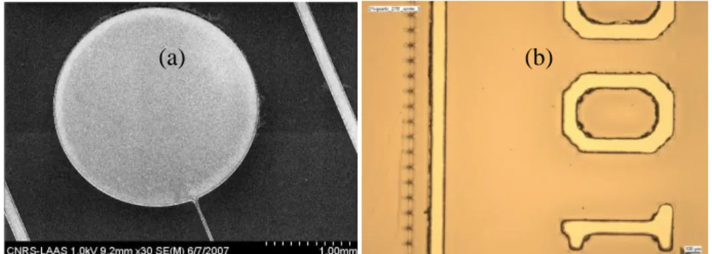 Figure 2.17. (a) Image MEB et (b) image en microscope optique d’un motif de Sylgard 184 développé 