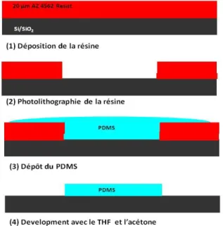 Figure 2.19. Représentation schématique du procédé type lift-off pour créer des motifs en Silgel 612