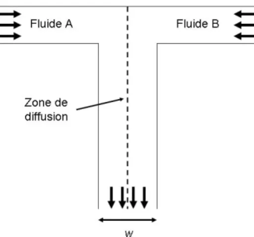 Fig. 1.5 – Illustration d’une jonction en T entre deux fluides A et B se déplaçant à une vitesse U.