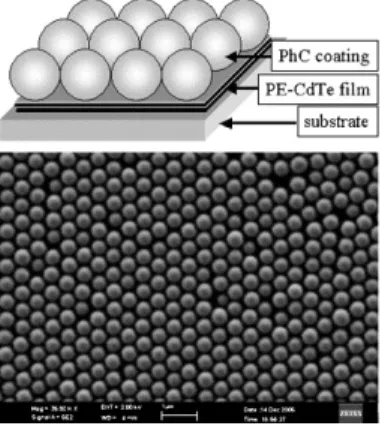 Fig. 2.2 – Schéma et image MEB d’un crystal obtenu par film de Langmuir-Blodgett [150].