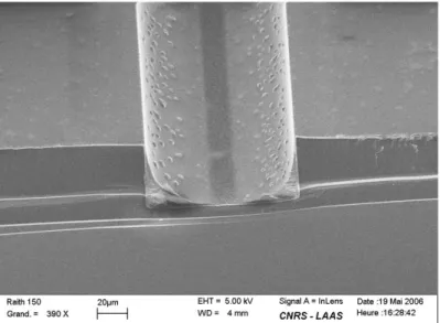 Fig. 2.14 – Photo MEB de la section d’un canal de 100µm de large. La couche hydrophobe confère au canal une section elliptique.