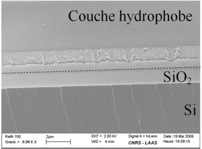 Fig. 2.15 – Photo MEB de la couche hydrophobe mettant en lumière les défauts de celle-ci (bulles, trous) pouvant créer de grandes disparités entre les expériences