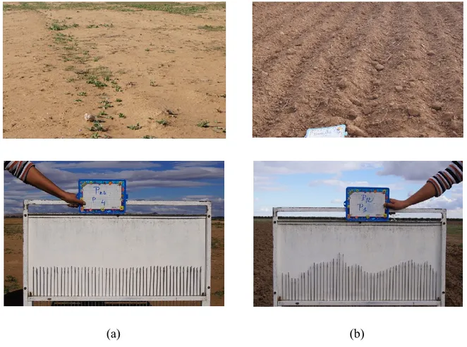 Figure 2. 11: Exemple de profil de rugosité élaboré par un rugosimètre de 1 m: a) pour des sols  lisses et b) des sols en labour 
