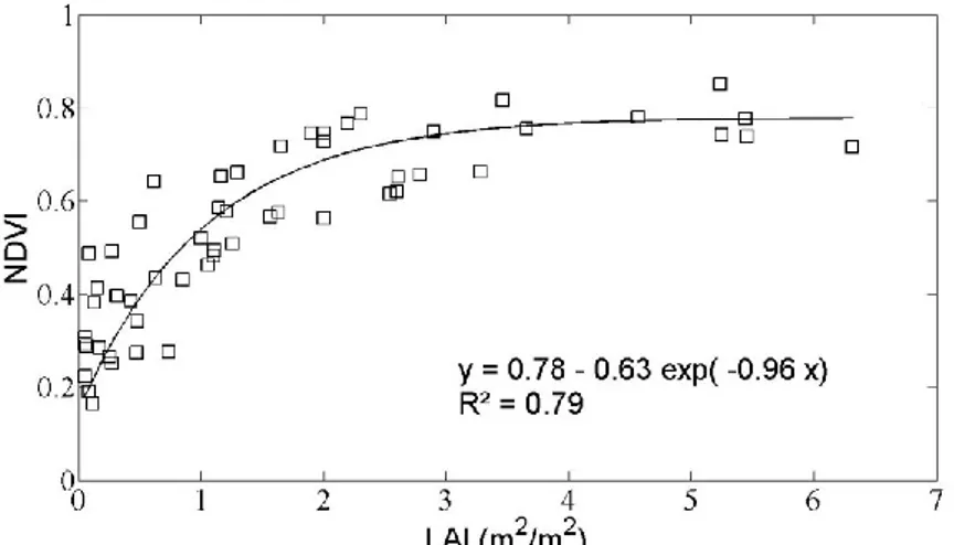 Figure 5. Relationship between LAI ground measurements and normalized difference vegetation index 