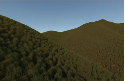 Figure 2.6, the forest scene has more than 100,000 single trees, and each tree has more than 1 