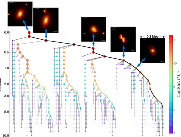 Figure 3.8: An example from Qu et al. (2017) of a galaxy merger history from numerical simulation