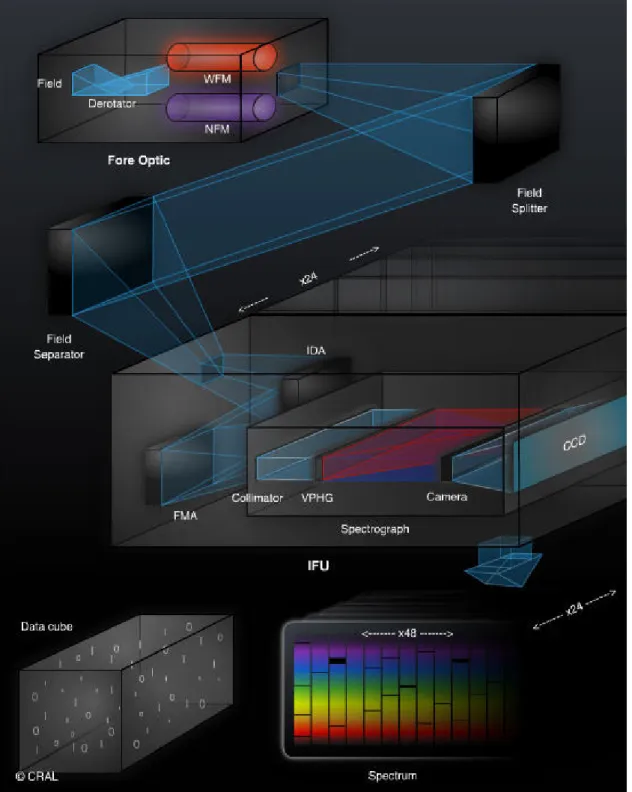 Figure 4.2: Illustration of MUSE optical schematic system and data acquisition as described in section 4.2