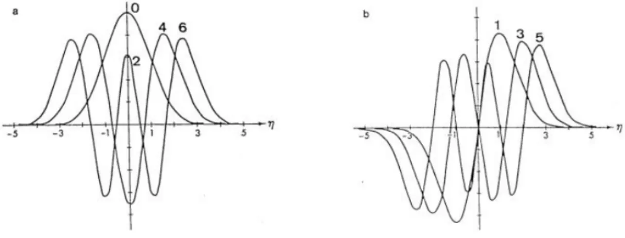 Figure 3.9 – Distribution latitudinale des fonctions d’Hermite des modes m´ eridiens pairs (` a gauche) et impairs (` a droite).