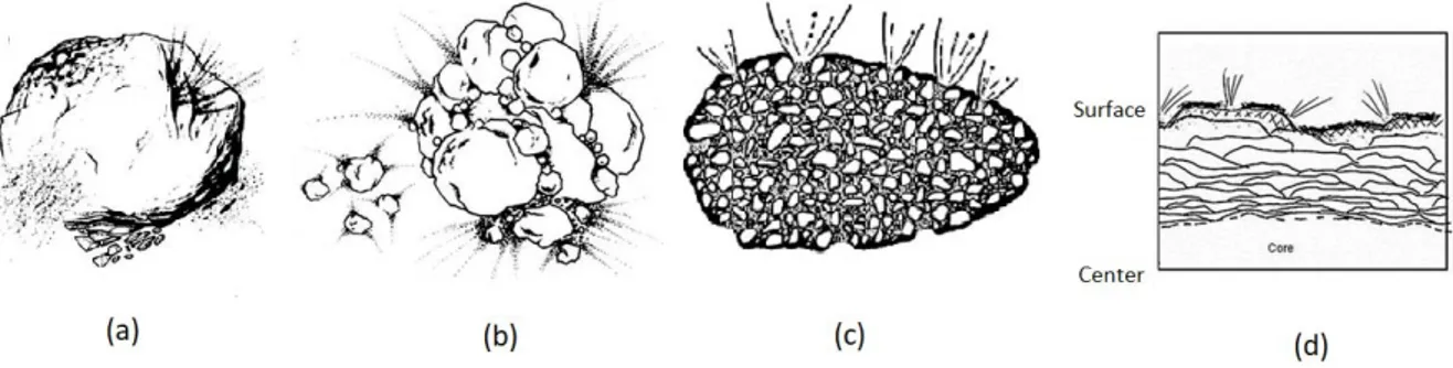 Figure 2.3: Representations of four models of cometary nucleus: (a) the icy conglomerate model (Whipple, 1950), (b) the rubble pile model (Weissman, 1986), (c) the icy-glue model (Gombosi and Houpis, 1986) and (d) the layered pile model (Belton et al., 200